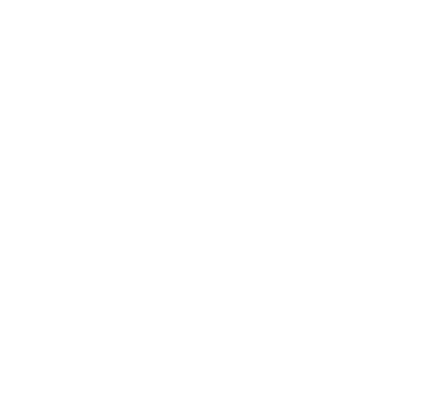 ICHIGEKI